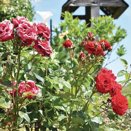 3 Bedroom Amazing In Vergoncey