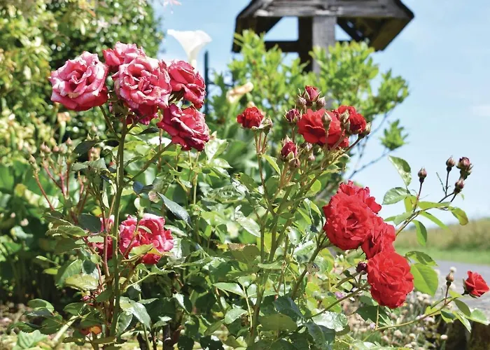 3 Bedroom Amazing In